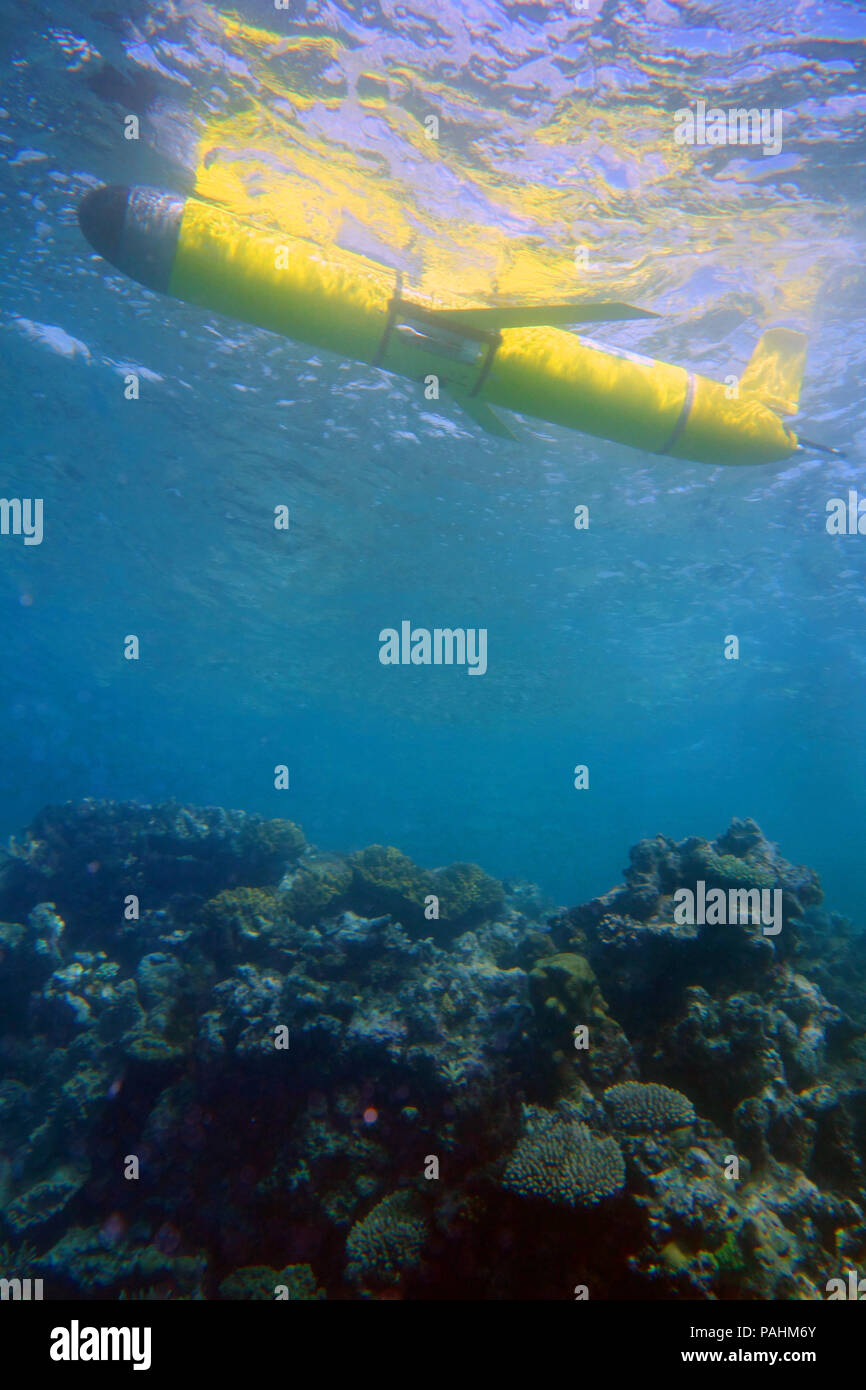 Slocum Ozean Segelflugzeug (Autonomous Underwater ozeanographische Instrument) Schweben über Reef, Great Barrier Reef, Queensland, Australien. Keine PR Stockfoto