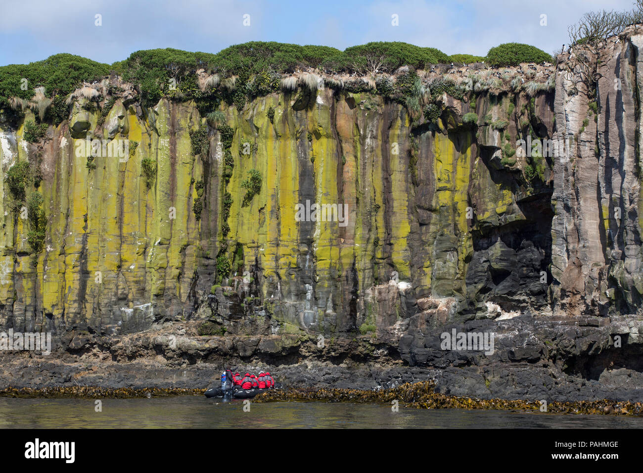 Basaltsäulen und touristische Boot, Enderby Island, Neuseeland Stockfoto
