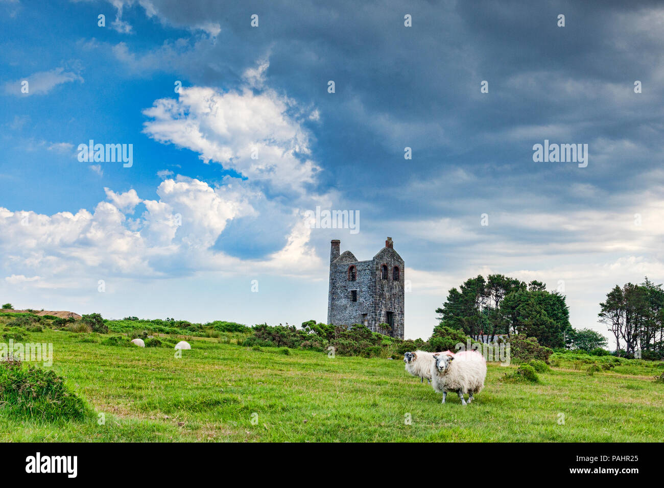 Dramatische Gewitterwolken versprechen Entlastung von der anhaltenden Hitzewelle auf Bodmin Moor in der Nähe von Schergen, das höchstgelegene Dorf in Cornwall, England. Bodmin Moor hat. Stockfoto