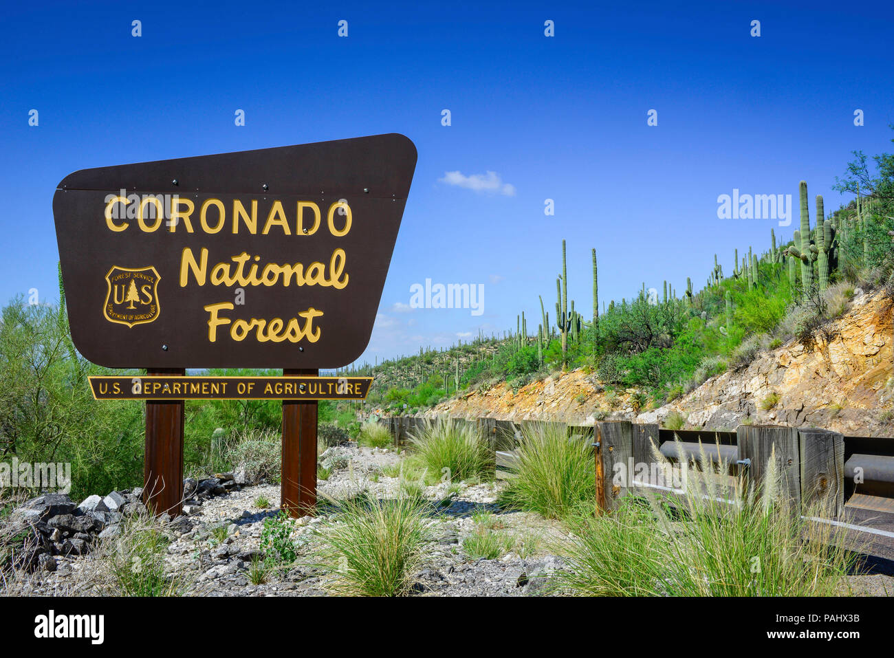 Hinweisschild für die Coronado National Forest, US-Landwirtschaftsministerium, mit Saguaro Kakteen auf Catalina und Mt Lemmon Highway, in der Nähe von Tucson, AZ, USA Stockfoto