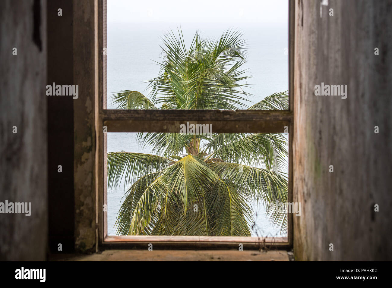 Eine Palme außerhalb des verlassenen Ducor Hotel, einmal die bekanntesten Hotels in Monrovia, Liberia Stockfoto