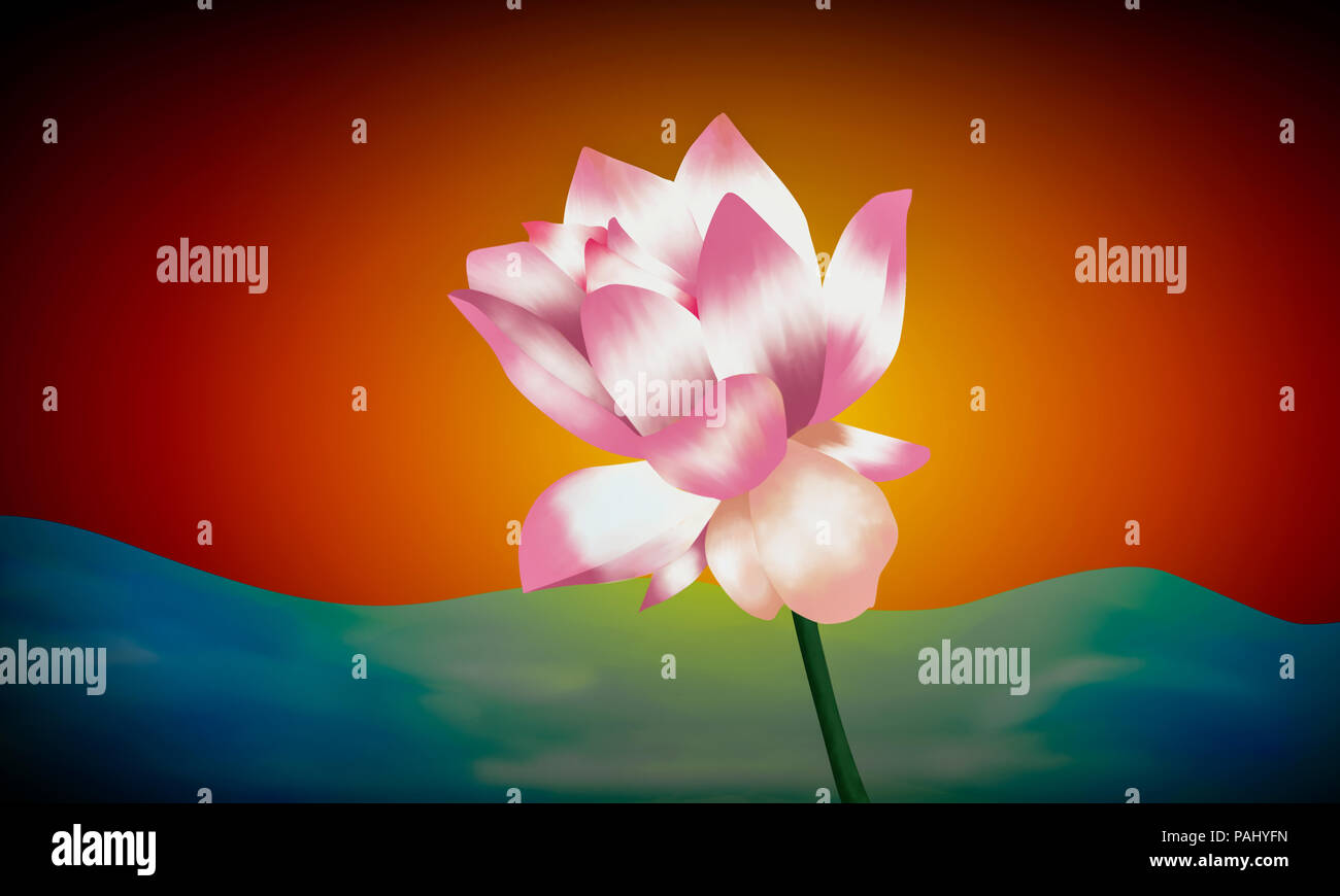 Seerose bunte Illustration, Malerei Stockfoto