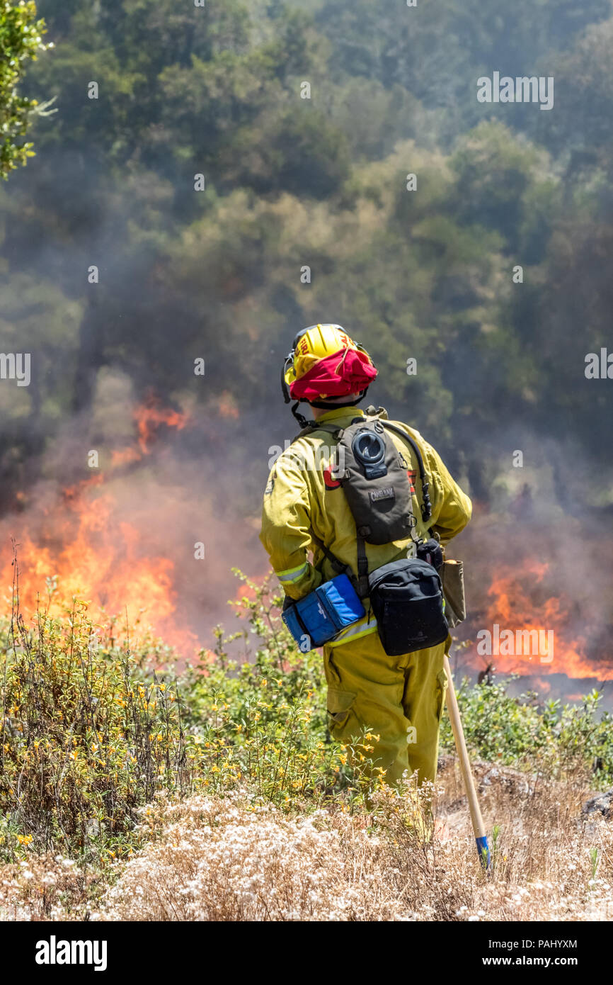 Feuerwehrmänner, Brände in Kalifornien Stockfoto