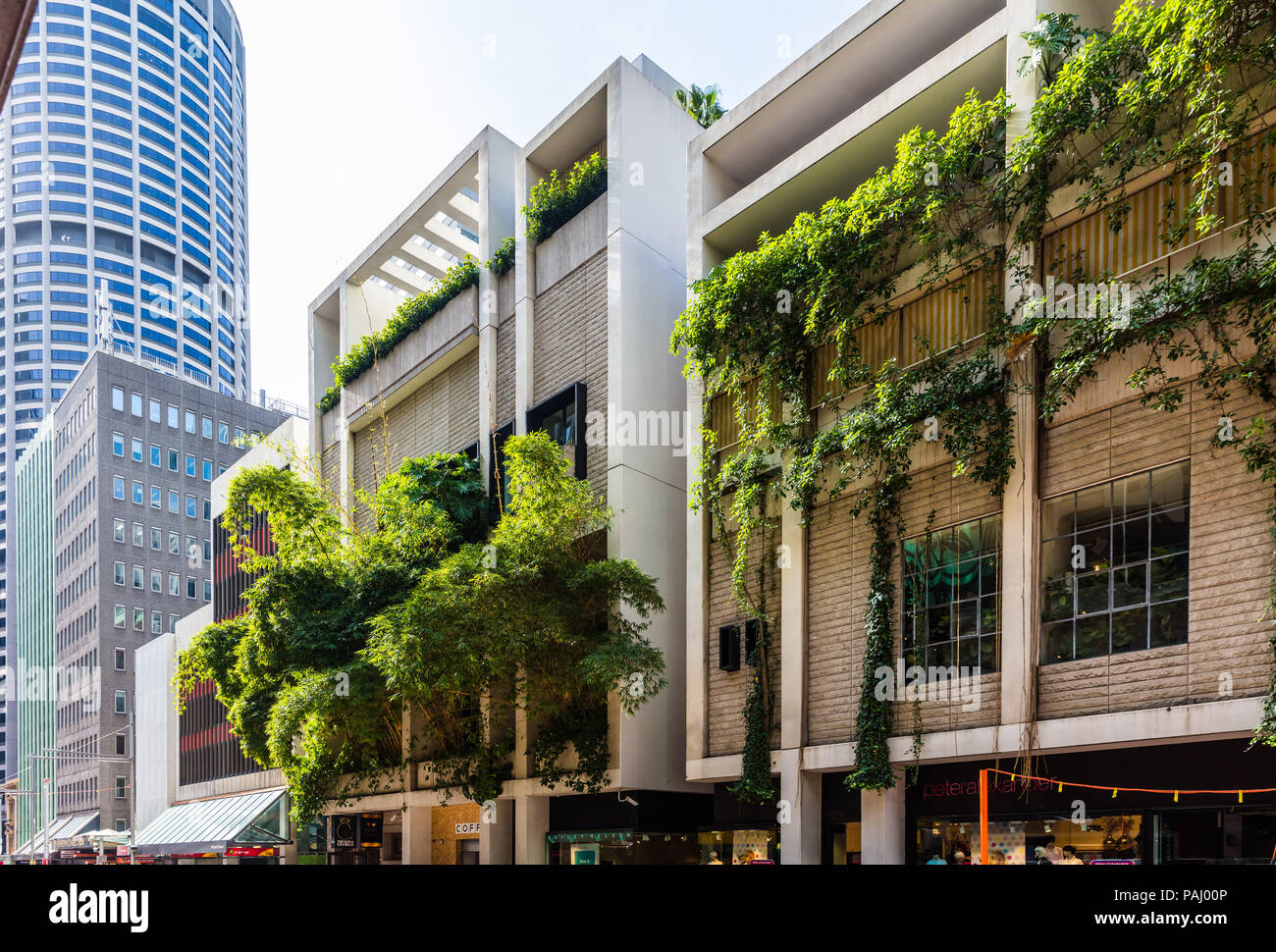 Grüne Gebäude in Sydney, Australien - The Ivy auf der George Street Stockfoto