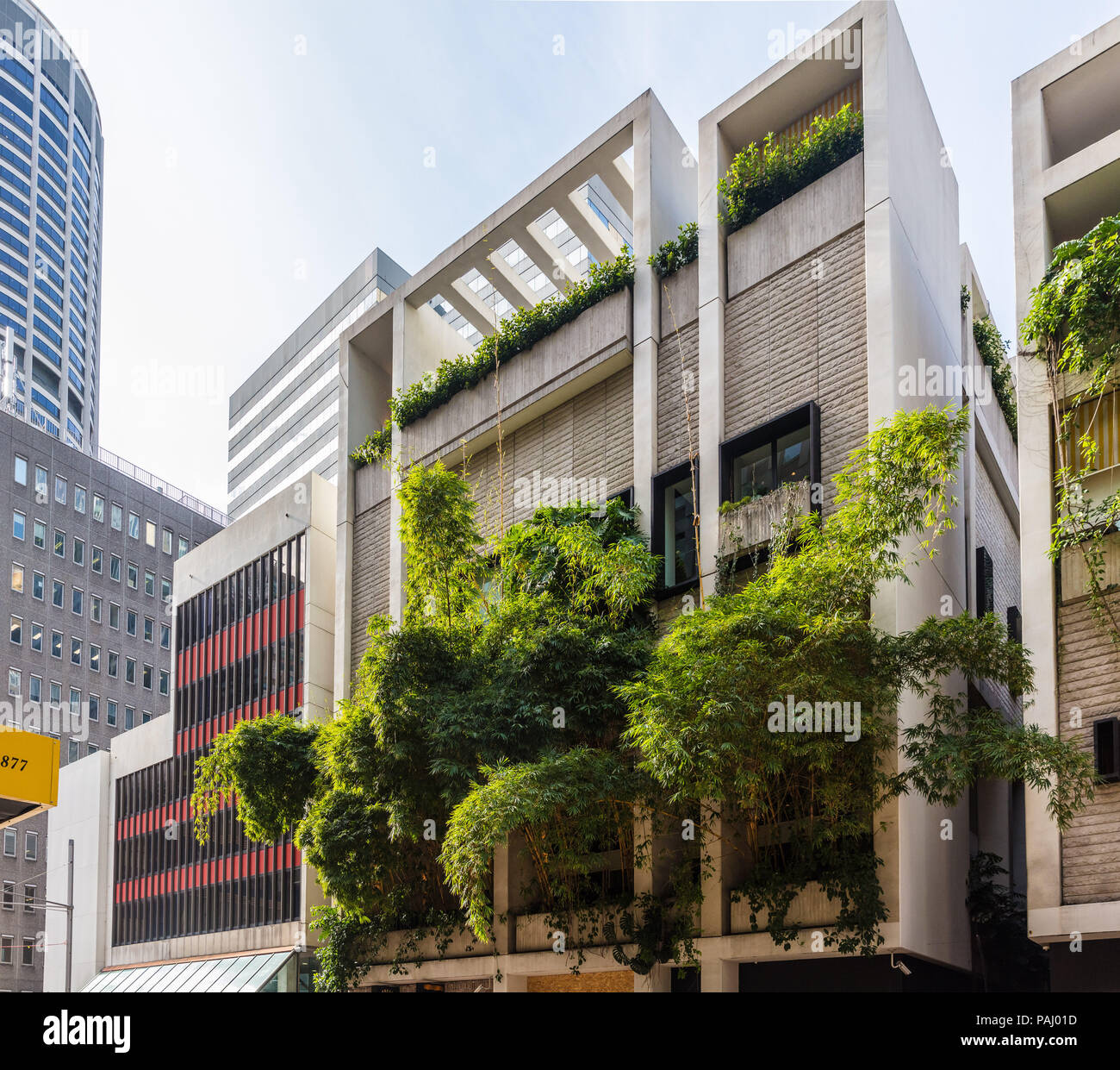 Grüne Gebäude in Sydney, Australien - The Ivy auf der George Street Stockfoto