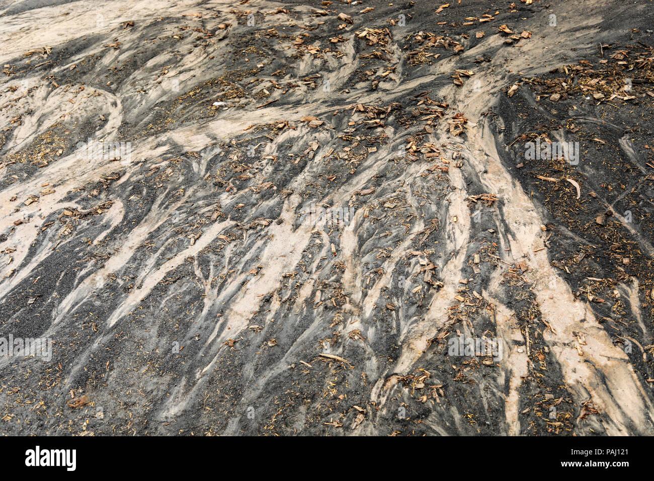 Flugasche Muster während der Regen und Wasser Stockfoto