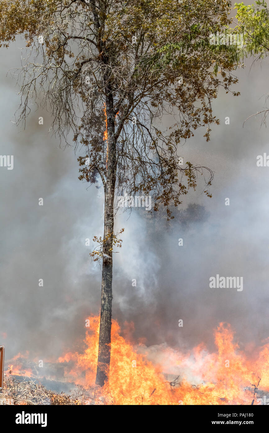 Feuerwehrmänner, Brände in Kalifornien Stockfoto