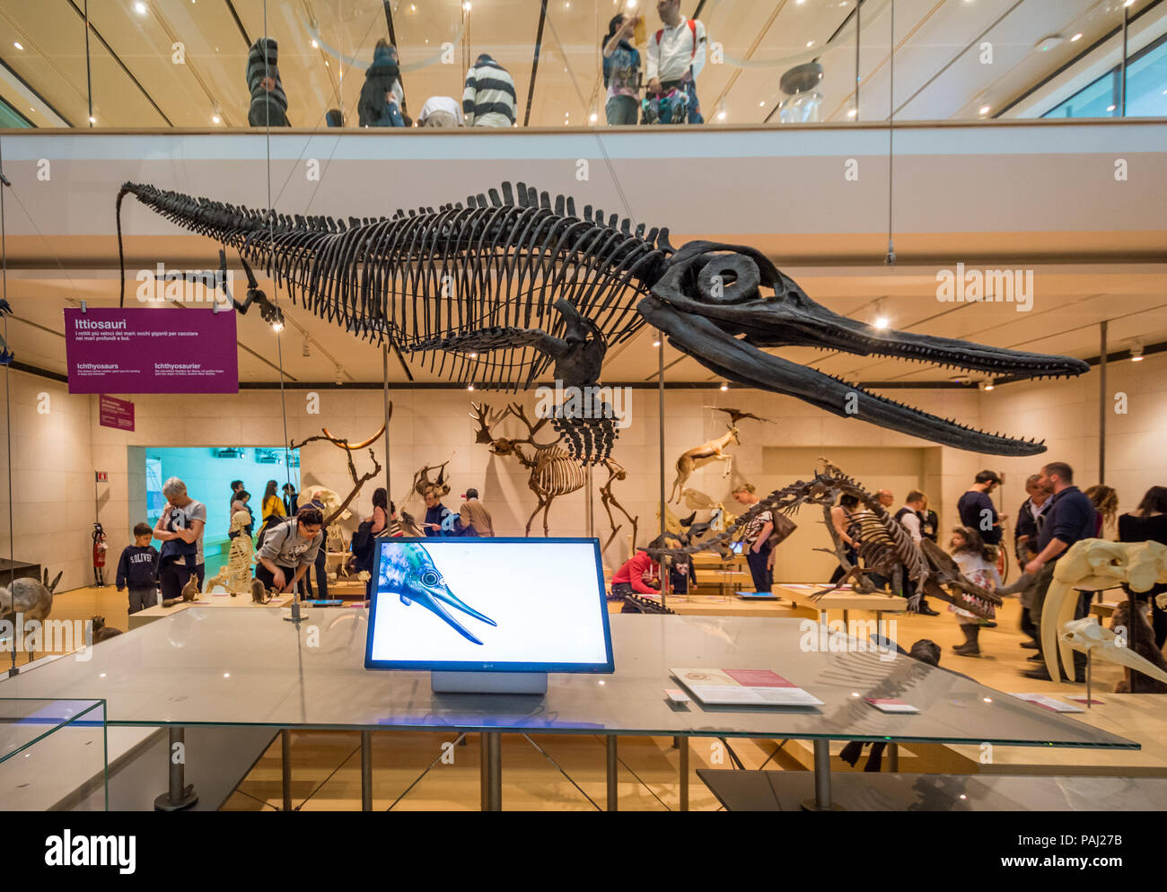 Muse - Wissenschaftsmuseum - Trient in Norditalien - Innenräume des berühmten interaktiven Museums für Naturwissenschaften von Trient entwarf Renzo Piano Stockfoto