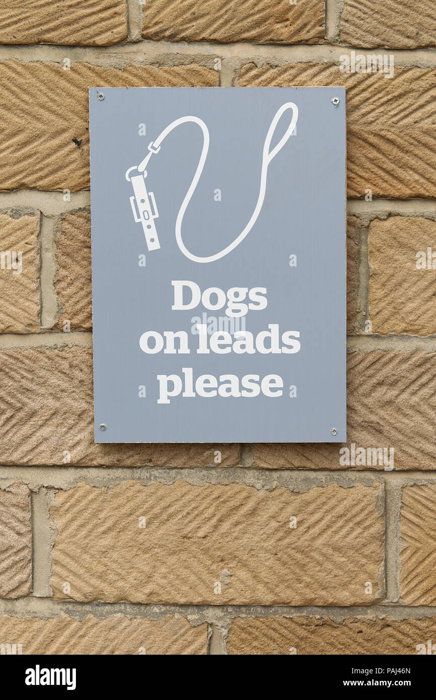 Hunde an der Leine Bitte melden Sie sich mit weißen Hund führen, Leine und Text auf grauem Hintergrund auf eine Wand. Stockfoto