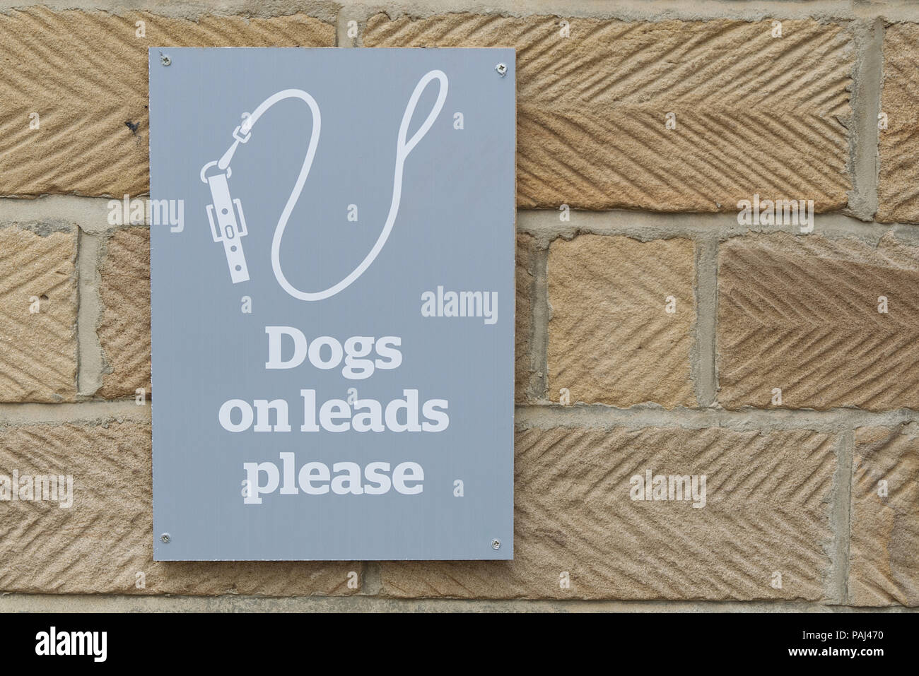 Hunde an der Leine Bitte melden Sie sich mit weißen Hund führen, Leine und Text auf grauem Hintergrund auf eine Wand. Stockfoto