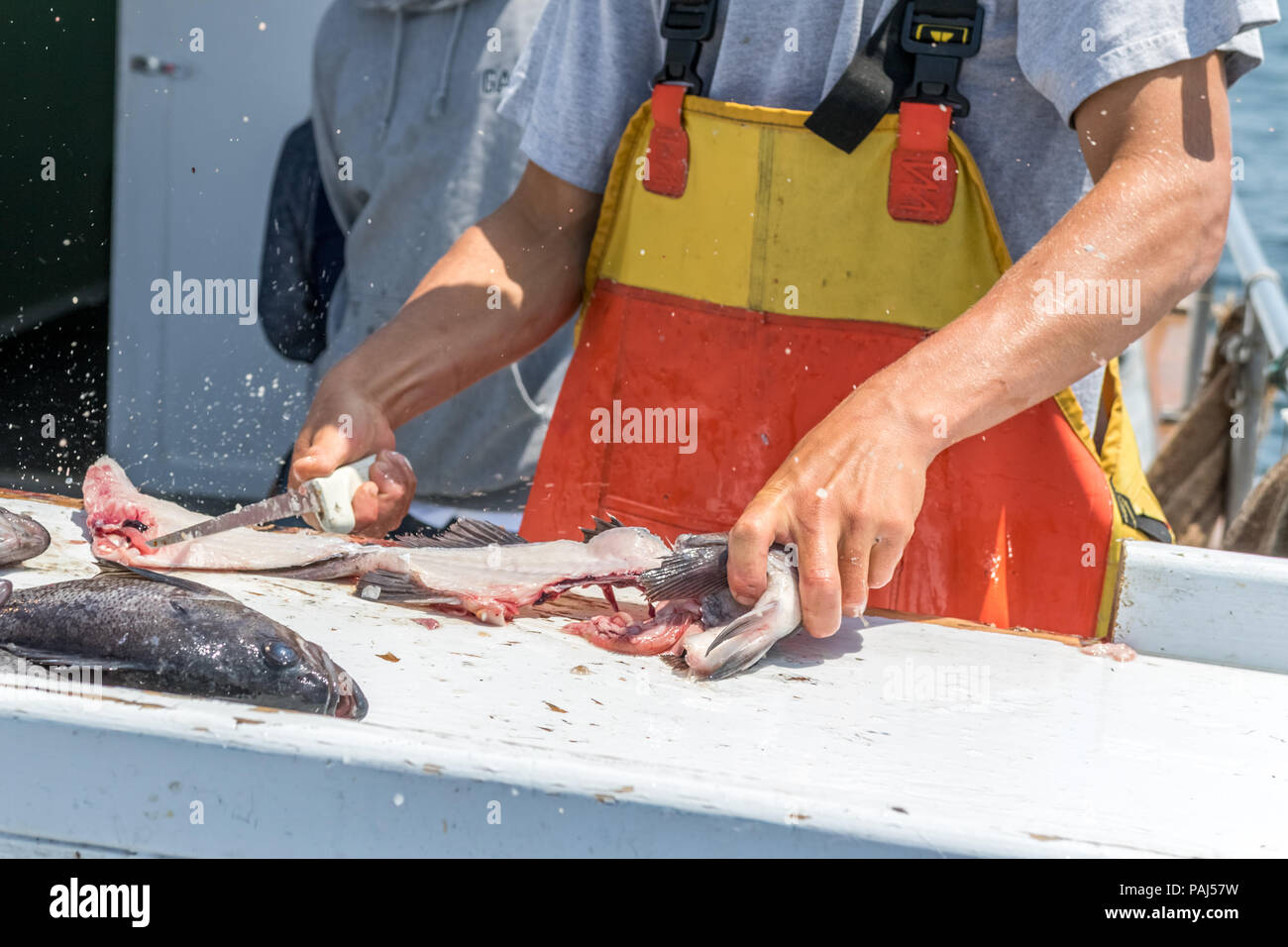 Fischer Fisch Filetieren auf Boot Stockfoto