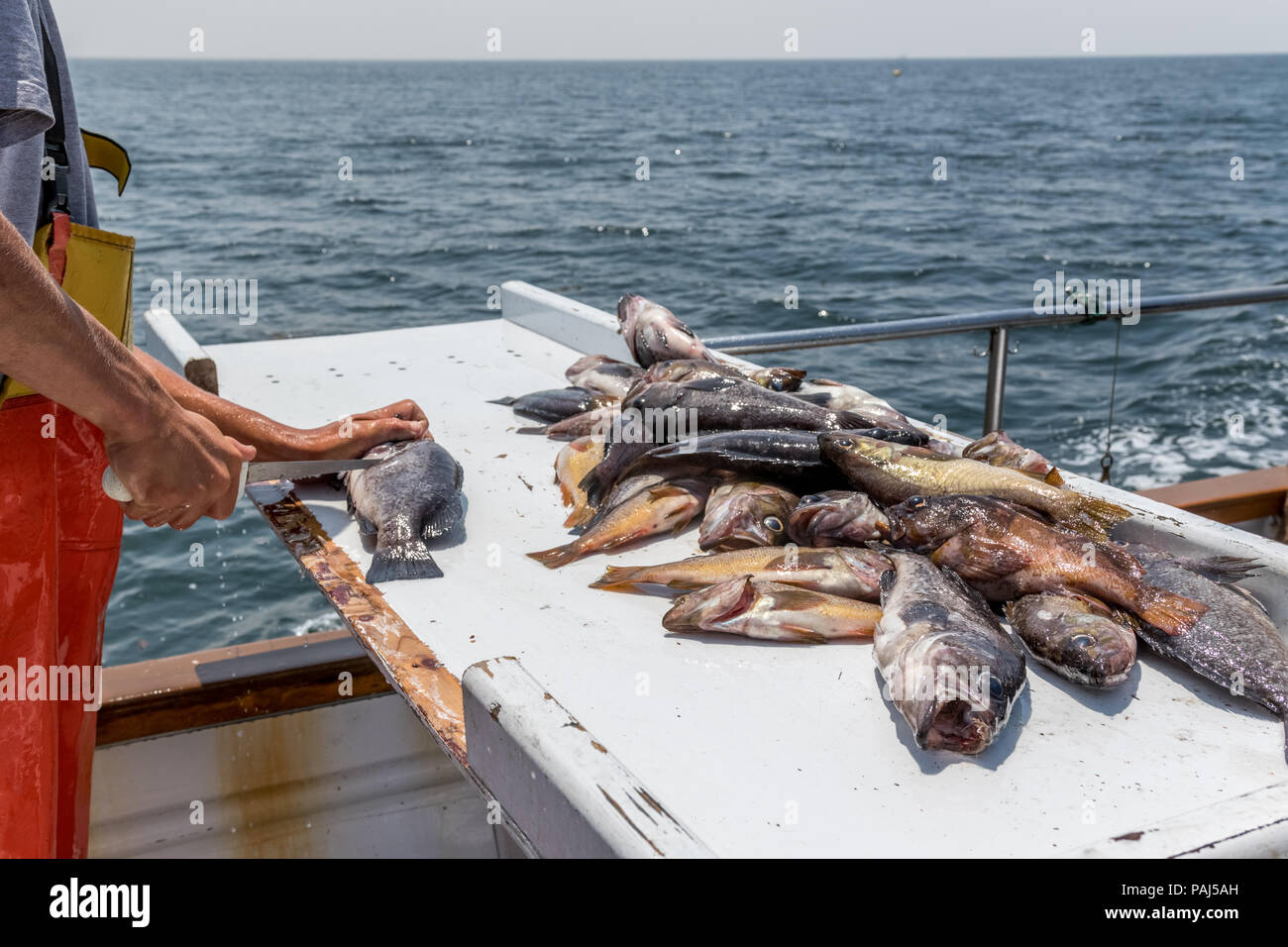 Fischer Fisch Filetieren auf Boot Stockfoto