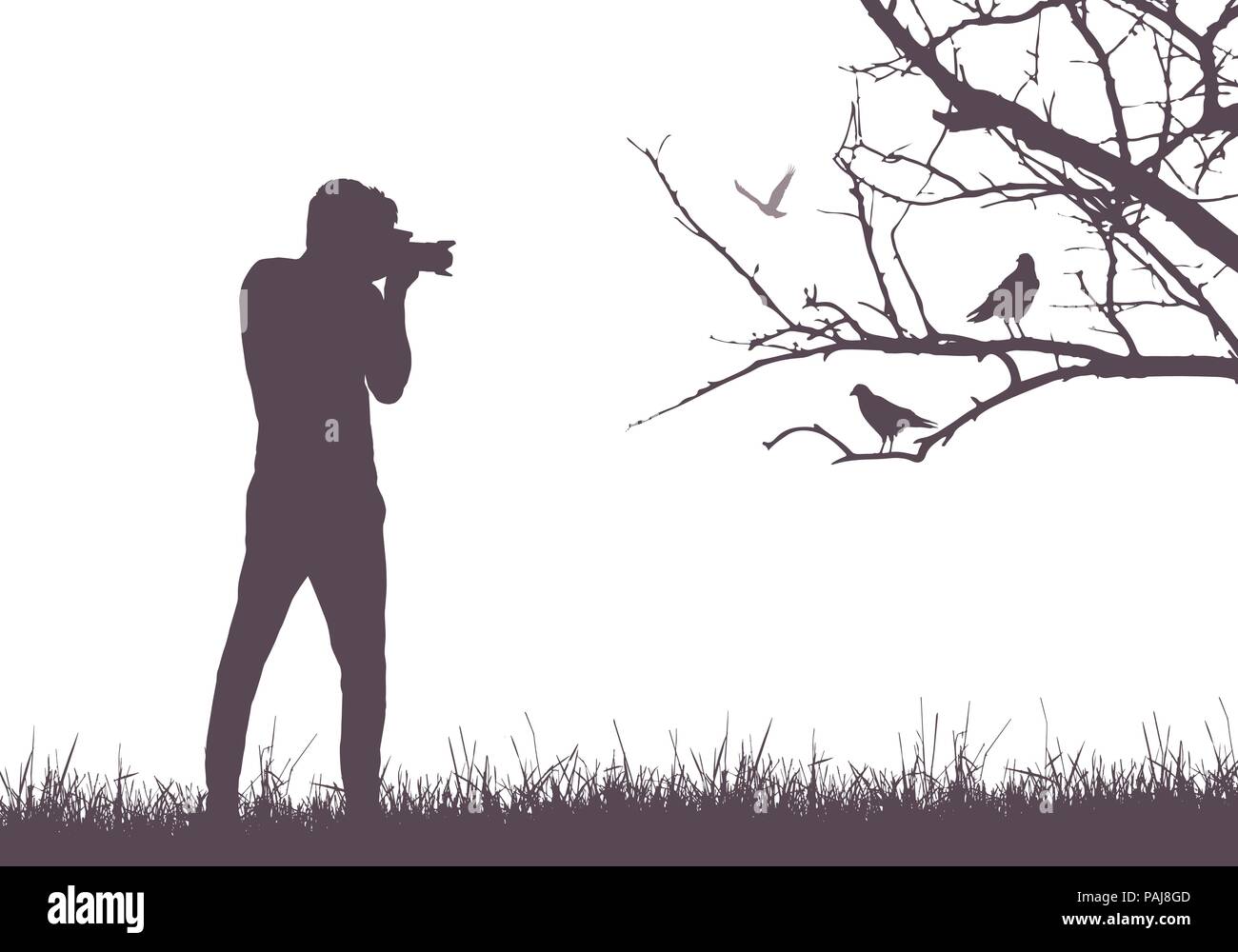 Ein junger Mann in der Natur fotografieren Vögel sitzen auf Ast-Vektor Stock Vektor