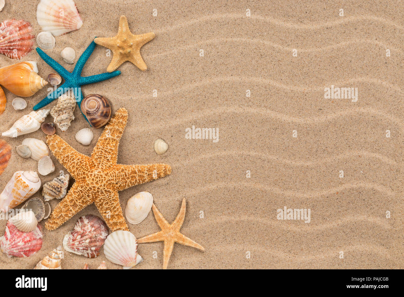 Ansicht von oben Sanddünen mit Muscheln und Seesterne als leer, Hintergrund. Muscheln und Seesterne. Stockfoto