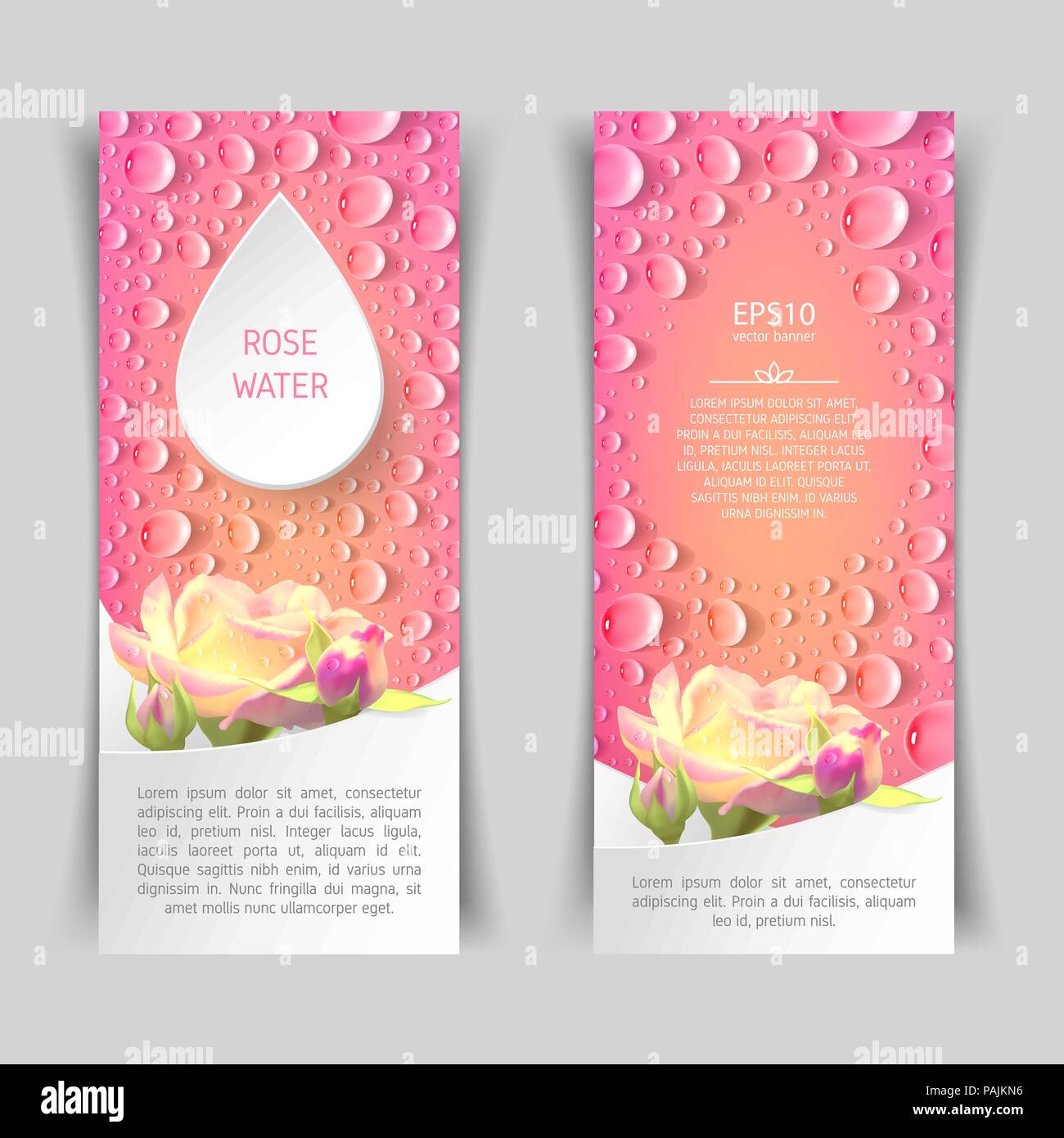 6 Flugblatt Weiße Rose Weiße rose flugblatt -Fotos und -Bildmaterial in hoher Auflösung – Alamy