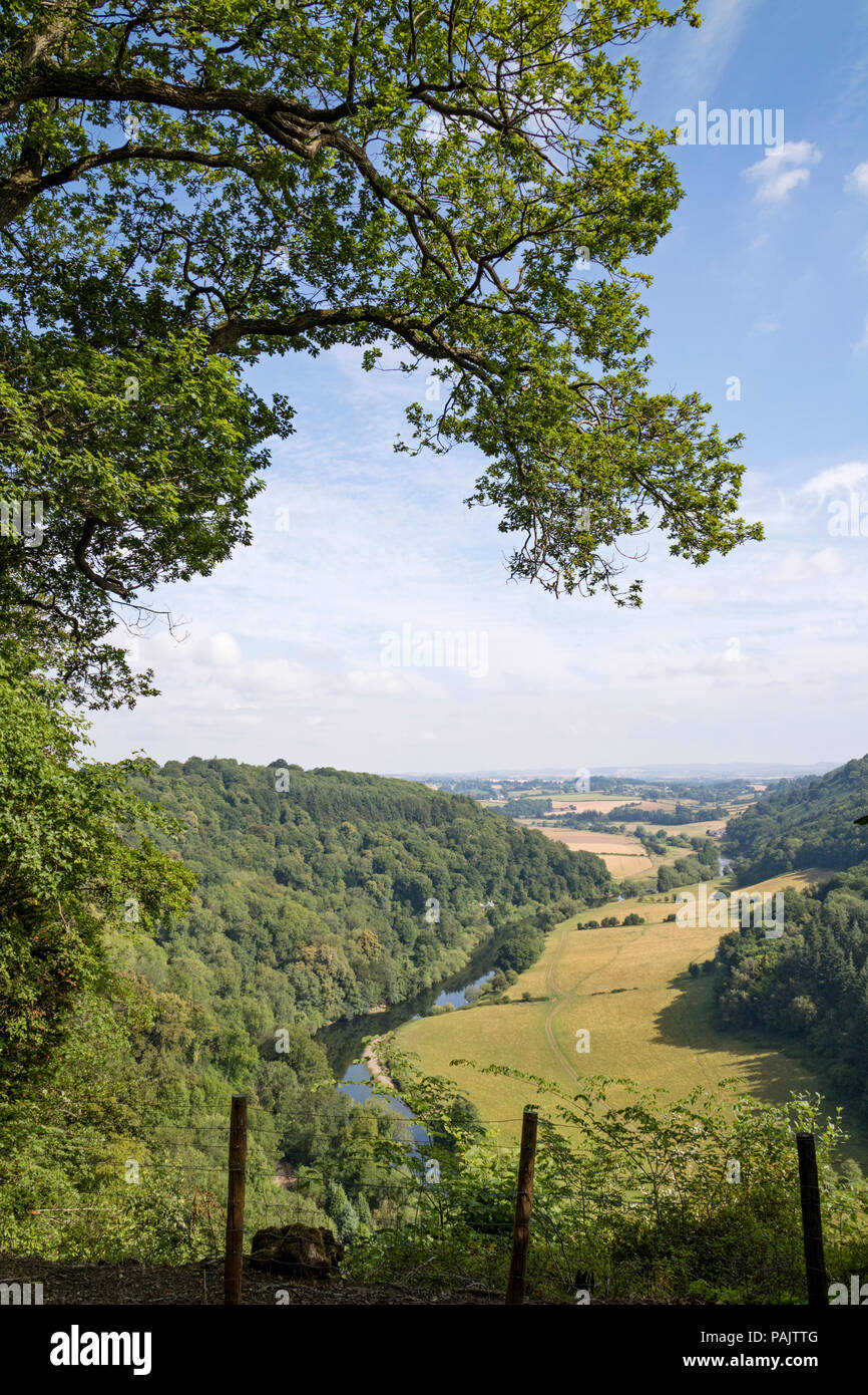 Ein Blick über den Fluss Wye an Symonds Yat, Wye Valley, Herefordshire, England, Großbritannien Stockfoto