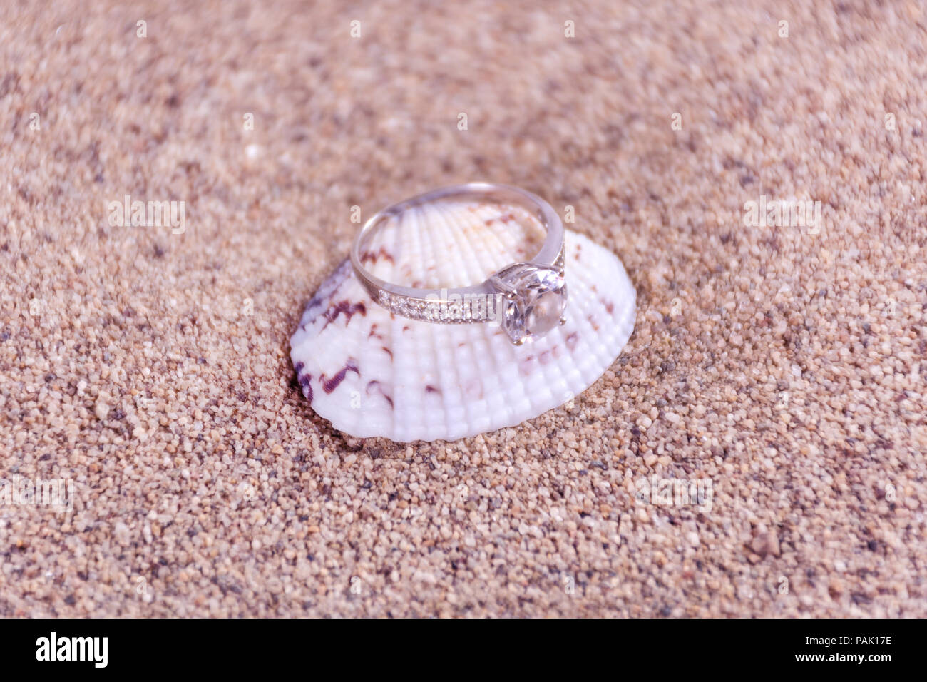 Hochzeit Diamond Engagement Ring auf sea shell und Sandy verschwommen und weichem Hintergrund. Schmuck Konzept. Close Up, selektiver Fokus Stockfoto