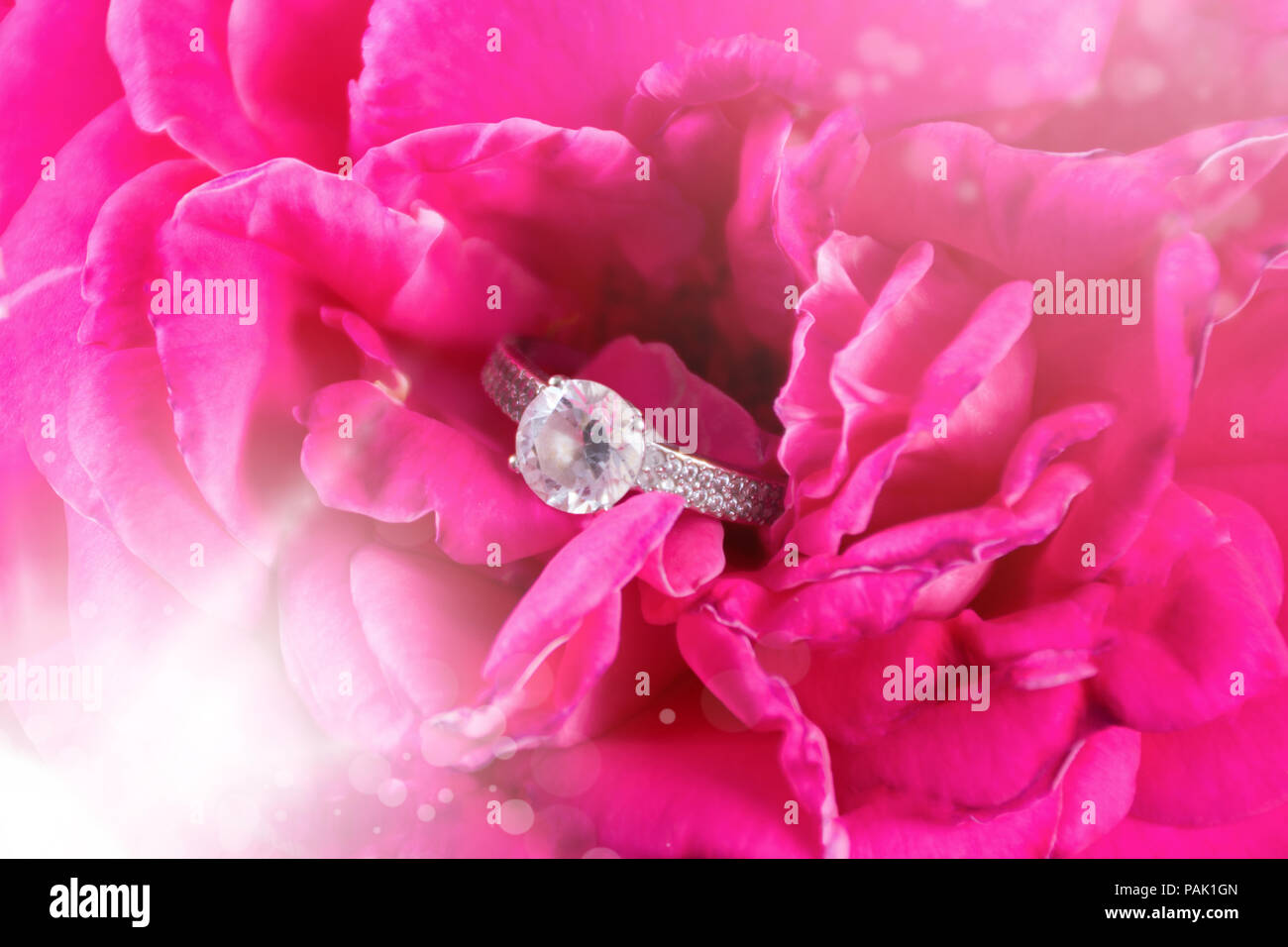 Diamant Verlobung Hochzeit Ring in rosa Rose Blume und kreative funkelt. Liebe und heiratete Konzept. Close Up, selektiver Fokus und eine verschwommene Bewegung Stockfoto