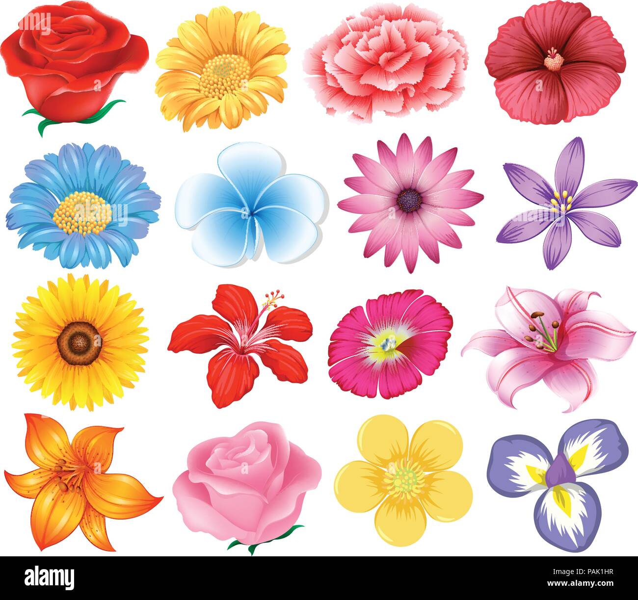 Eine Reihe von schönen Blumen Abbildung Stock Vektor