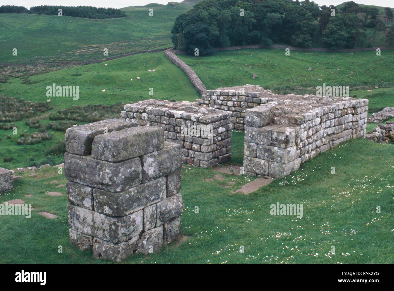 Römisches Wächterhaus auf Hadrian's Wall, Housesteads, Northumbria, England, 2. Foto Stockfoto