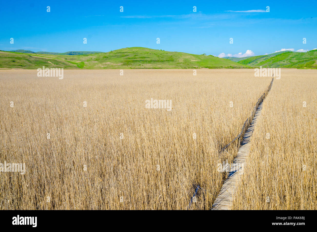 Altes holz Weg durch Reed Feld zu den Horizont mit grünen Bergen und blauem Himmel o der Hintergrund mit einem wishfull und hoffnungsvoller Blick suggestin Stockfoto