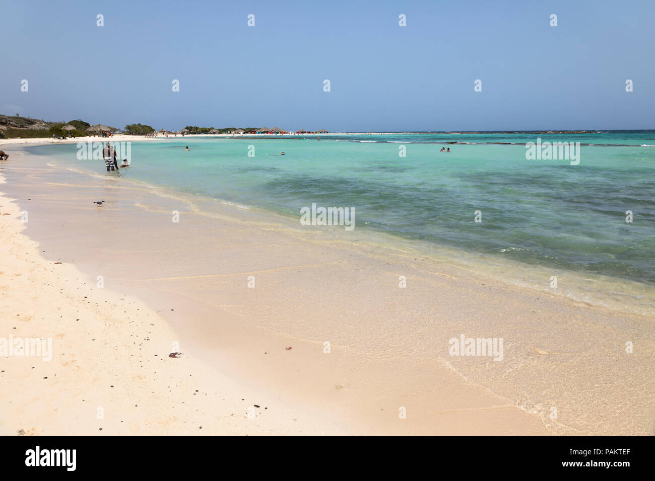 Karibik Baby Beach, Aruba, Karibik Stockfoto