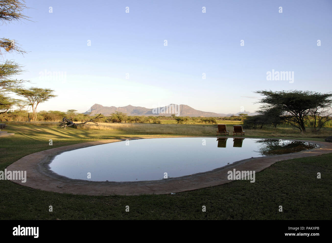 Paradies auf Erden. Der schöne Pool in der Wüste von Samburu Nationalpark. Stockfoto