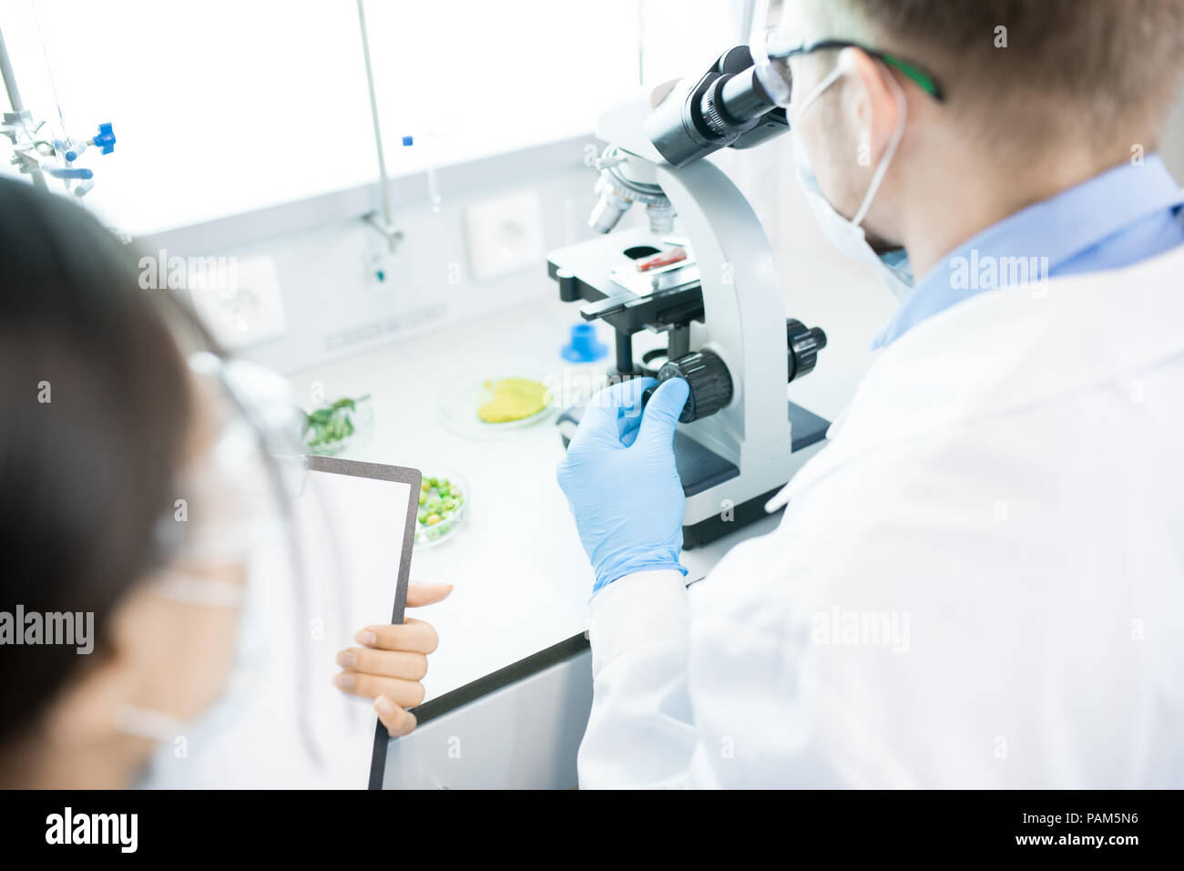 Hohen winkel Porträt zweier Wissenschaftler, die auf Forschung und mit Mikroskop, beim Sitzen am Tisch im Labor Stockfoto
