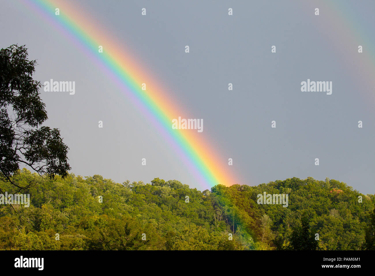 Eine lebendige, farbenfrohe und doppelten Regenbogen über Bäume in Tennessee im Sommer leichter Regen Stockfoto