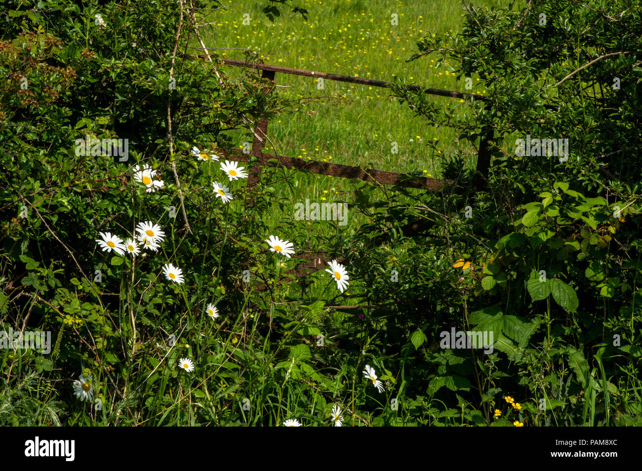 Jetzt zu klein für moderne Landmaschinen, wird es Teil von Hedge-Fonds Stockfoto
