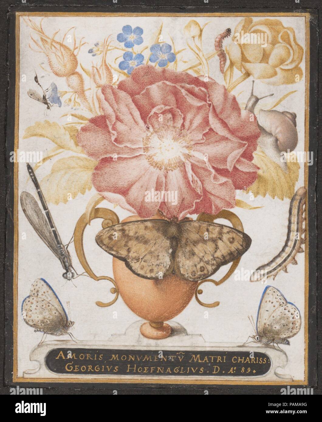 Stillleben mit Blumen, eine Schnecke und Insekten. Artist: joris Hoefnagel (Niederländischen, Antwerpen 1542-1601 Wien). Maße: Blatt: 4 5/8 x 3 11/16 in. (11,7 x 9,3 cm). Datum: 1589. Joris Hoefnagel ist einer der wenigen Künstler in der sechzehnten Jahrhunderts, bekannt für ihre unglaublich präzise und schöne Studien nach der Natur. Die symmetrische Komposition dieser Blumenstrauß vielleicht geben Sie ihm einen Glanz von künstlichkeit von einem modernen Standpunkt aus, sondern entspricht den vorherrschenden Geschmack, die gut in das siebzehnte Jahrhundert dauerte. Der Unterschied in der Größenordnung von einigen von hoefnagel Flowers zeigt an, dass er einzelne verwendet Stockfoto