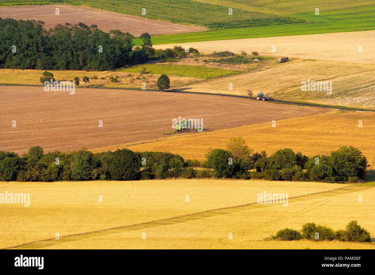 Moderne Erntezeit, Mähdrescher arbeiten an bunten Felder, schöne Linien, Luftbild. Stockfoto