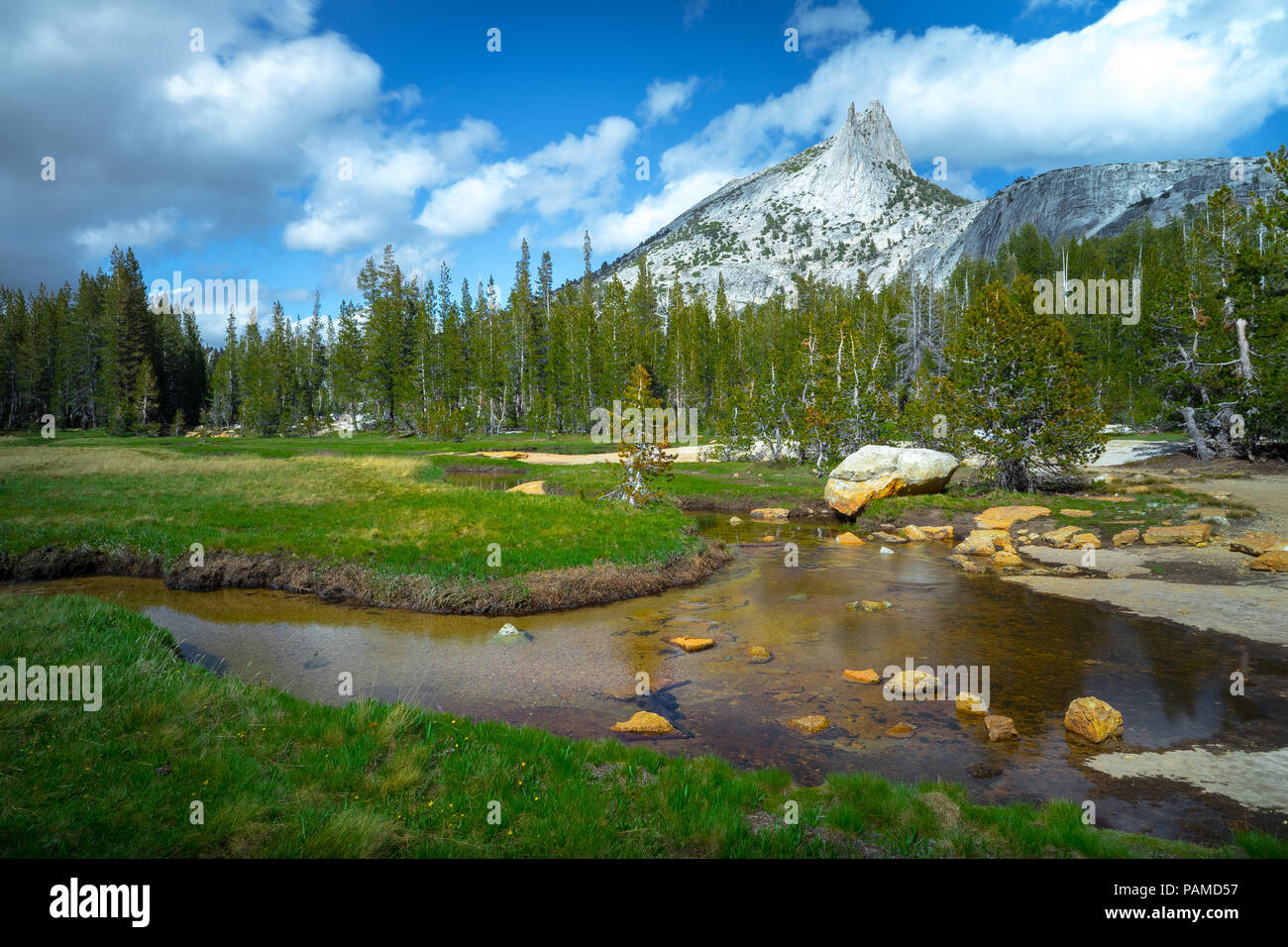 High Mountain Meadow creek Landschaft mit zerklüfteten Cathedral Peak Oben - Tioga Pass, Yosemite Nationalpark Stockfoto