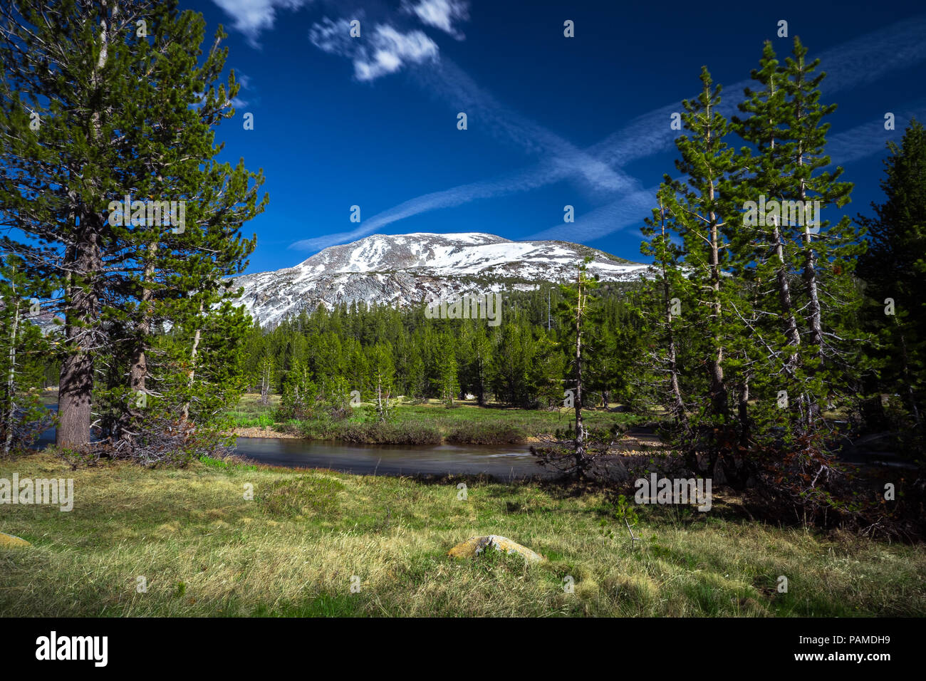 Schneebedeckten Mt. Dana, mit der Dana Gabel Creek, die durch einen Berg Wiese im Vordergrund - Yosemite National Park Stockfoto