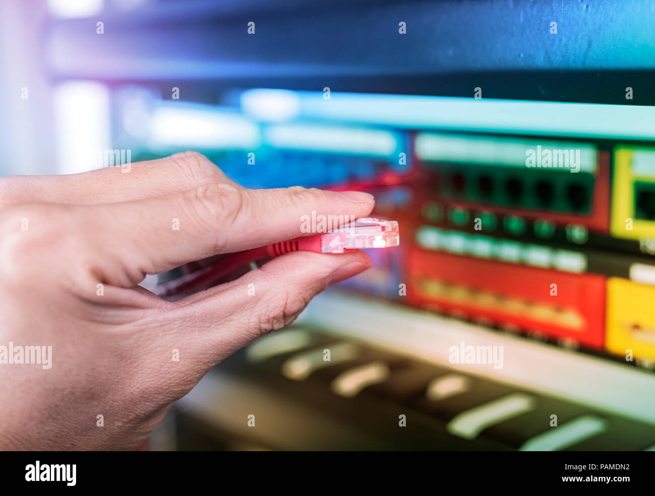 Hand stecken Kabel im Netzwerk Switch Stockfoto