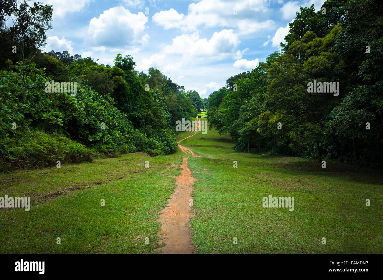 Schmutz Wandern & Mountainbike Trail in Bukit Timah Natur Park, was zu Macritchie Reservoir Stockfoto