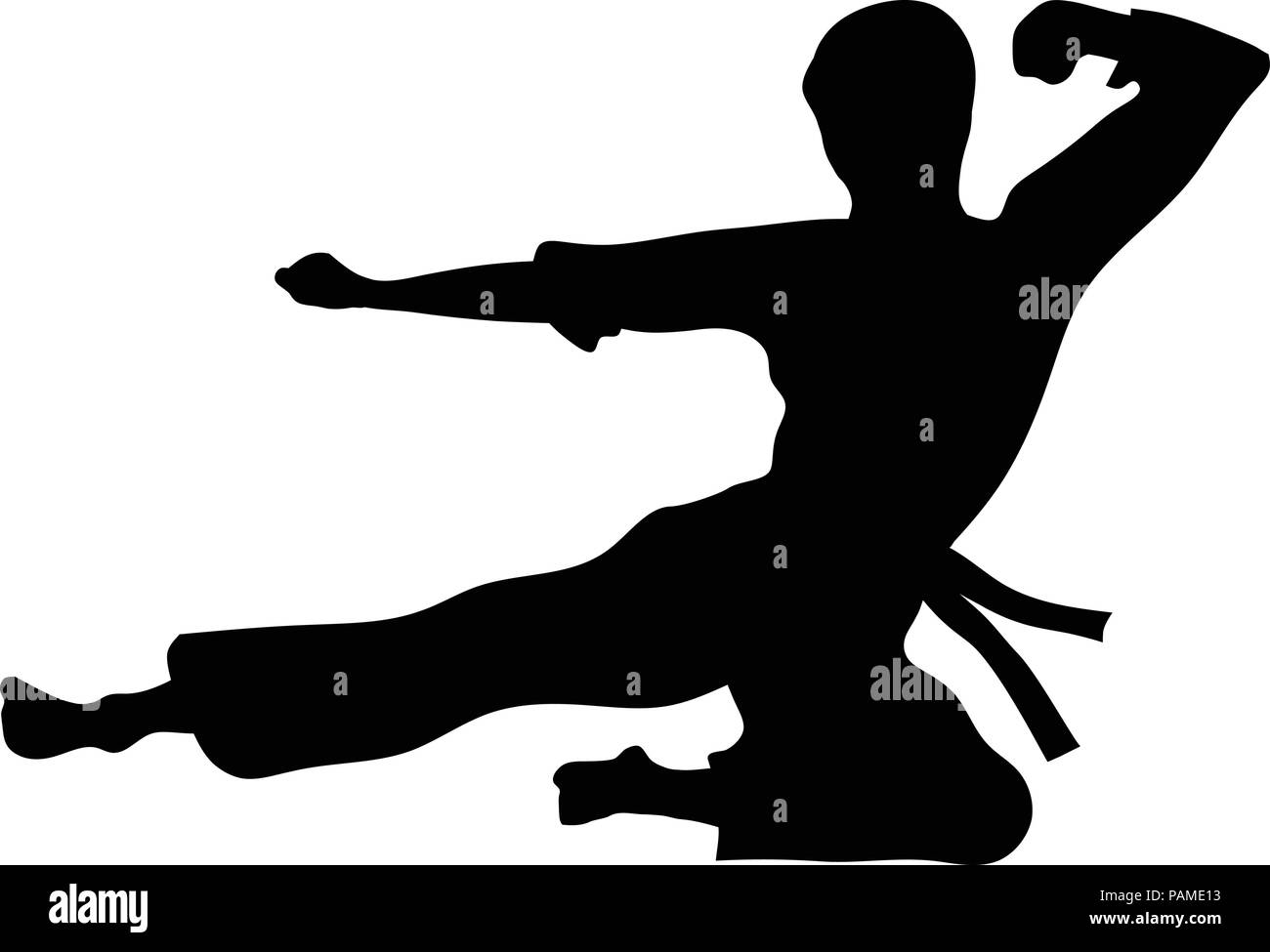 Einfache Karate sport Vektor, die Kampfkunst silhouette Vector, Kampf sport Vektor Stock Vektor