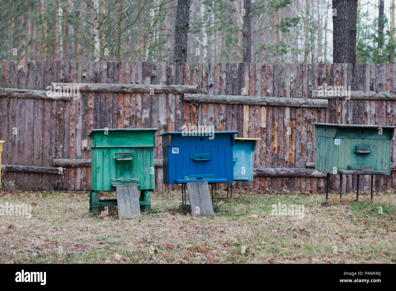 Bienenkorb für Bienen im Hof des Hauses Stockfoto