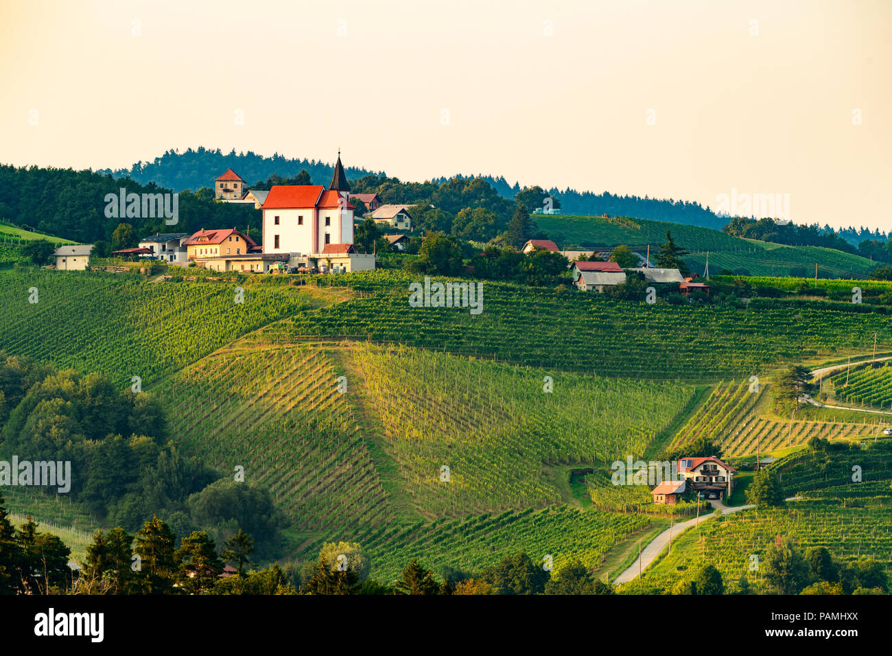 Weinberge mit kleinen Dorf in Ritoznoj, Slowenien Stockfoto