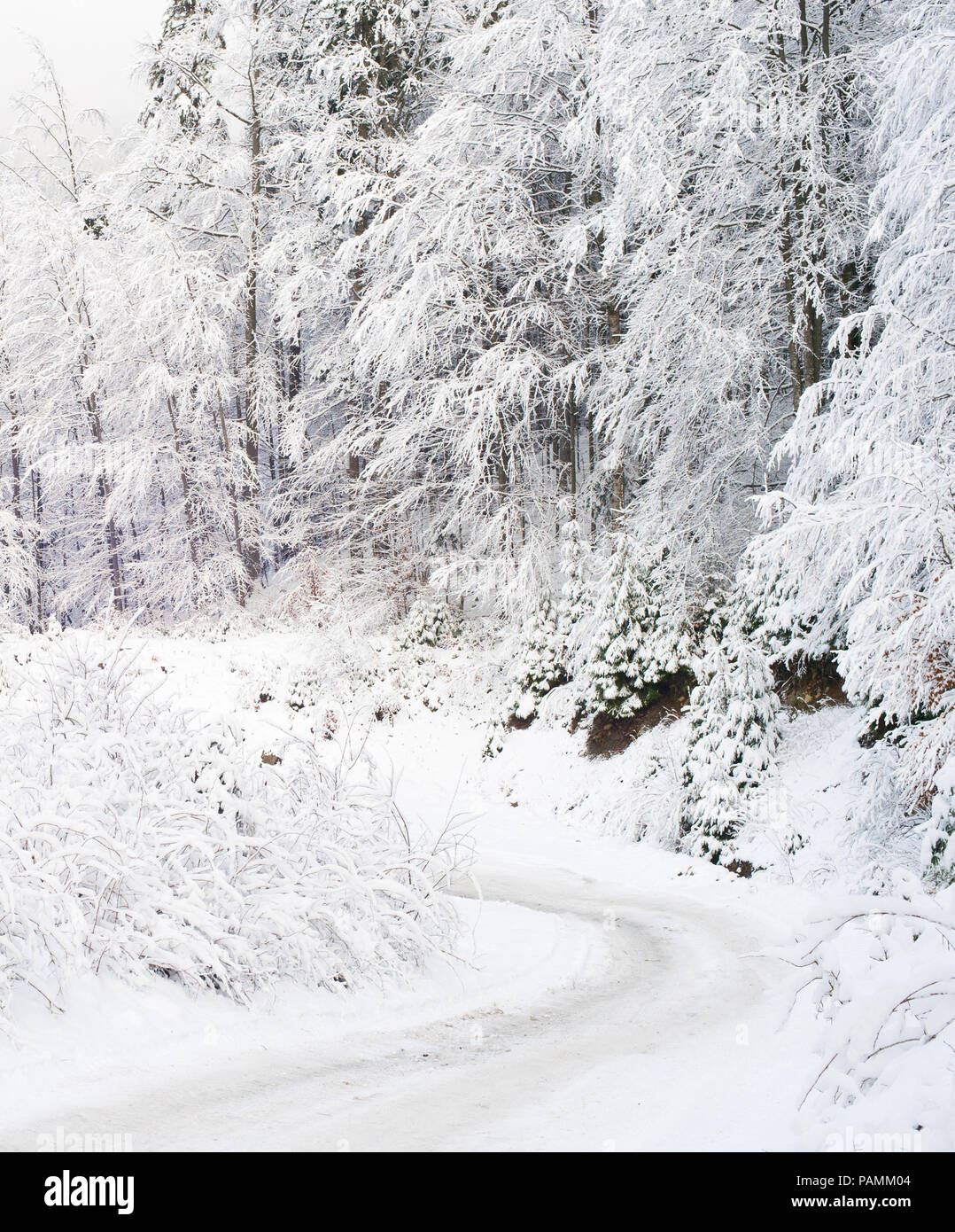 Gefrorene winter Straße in den Karpaten bedeckt mit Schnee Stockfoto