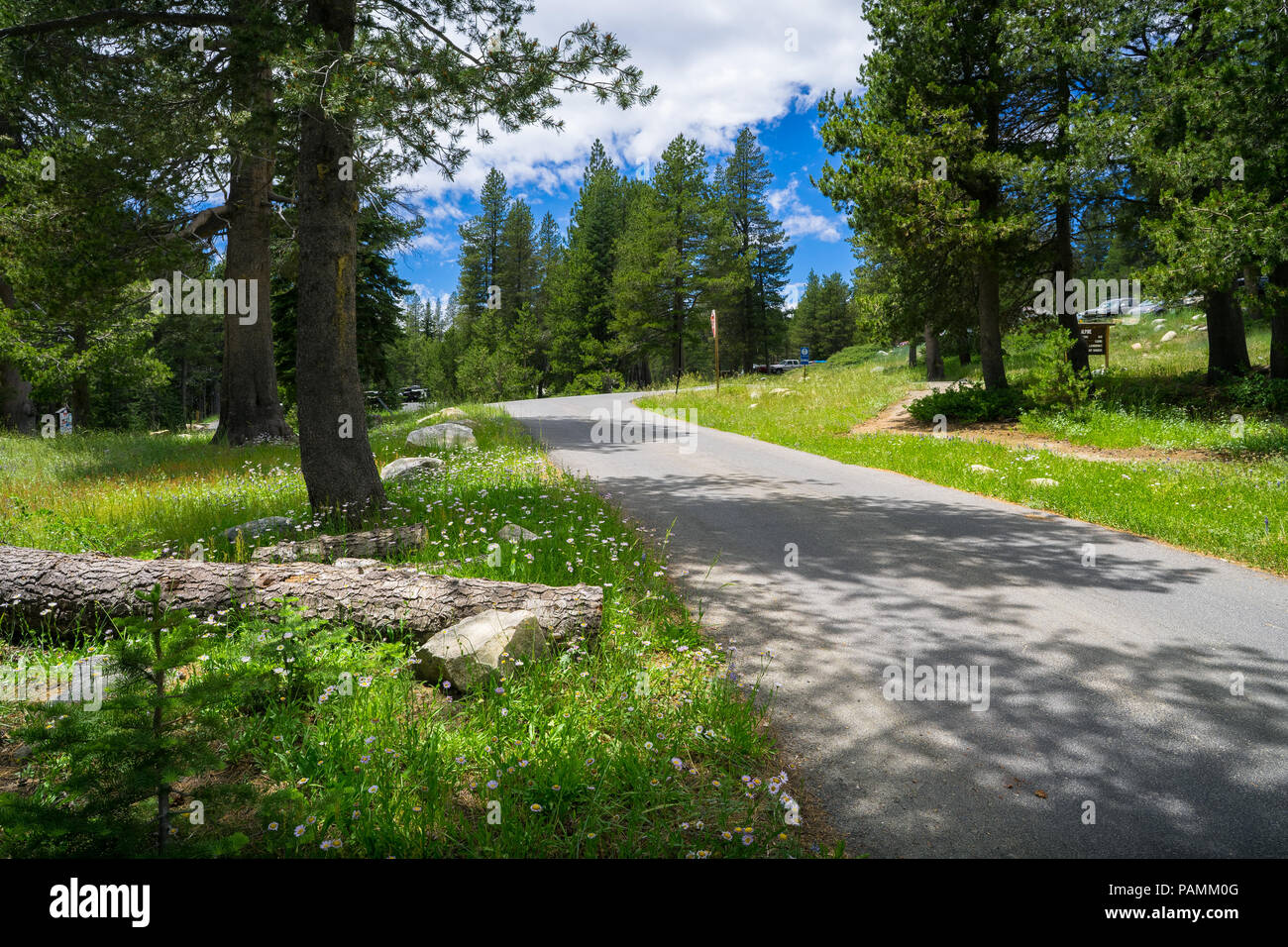 Gepflasterter Weg und Sierra Bäume am See entlang der Autobahn 4 - Ebbitts Pass-Alpine County, Kalifornien Stockfoto