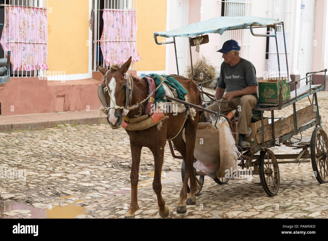 Ein Pferdefuhrwerk lokal bekannt als Coche in der UNESCO Weltkulturerbe Stadt Trinidad, Kuba. Stockfoto