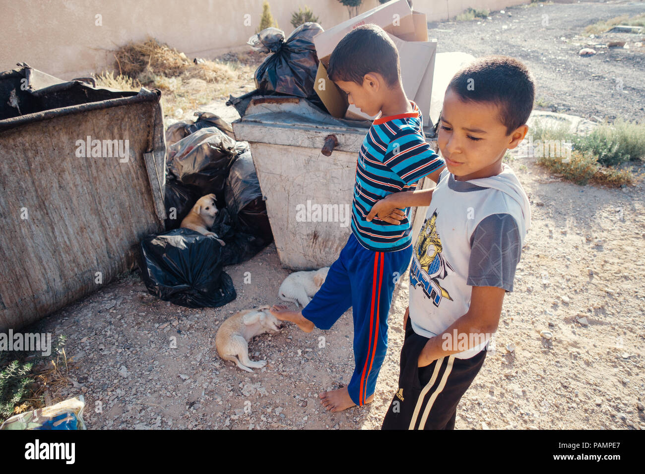 Zwei jungen jordanischen Jungen kick Welpen liegen in einem Müllcontainer an einem heißen Tag in Jordanien Stockfoto