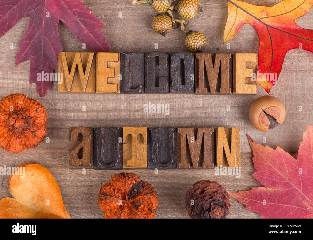 Herbst Schriftzug mit fallen Dekorationen auf einer hölzernen Oberfläche Willkommen Stockfoto