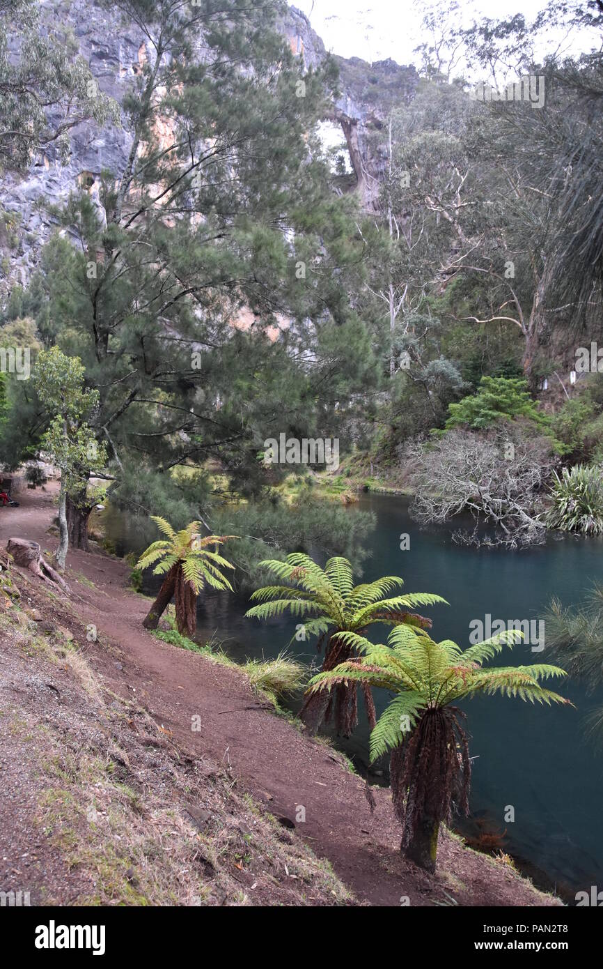 Blue Lake in Jenolan Höhlen in den Blue Mountains (NSW, Australien) Stockfoto