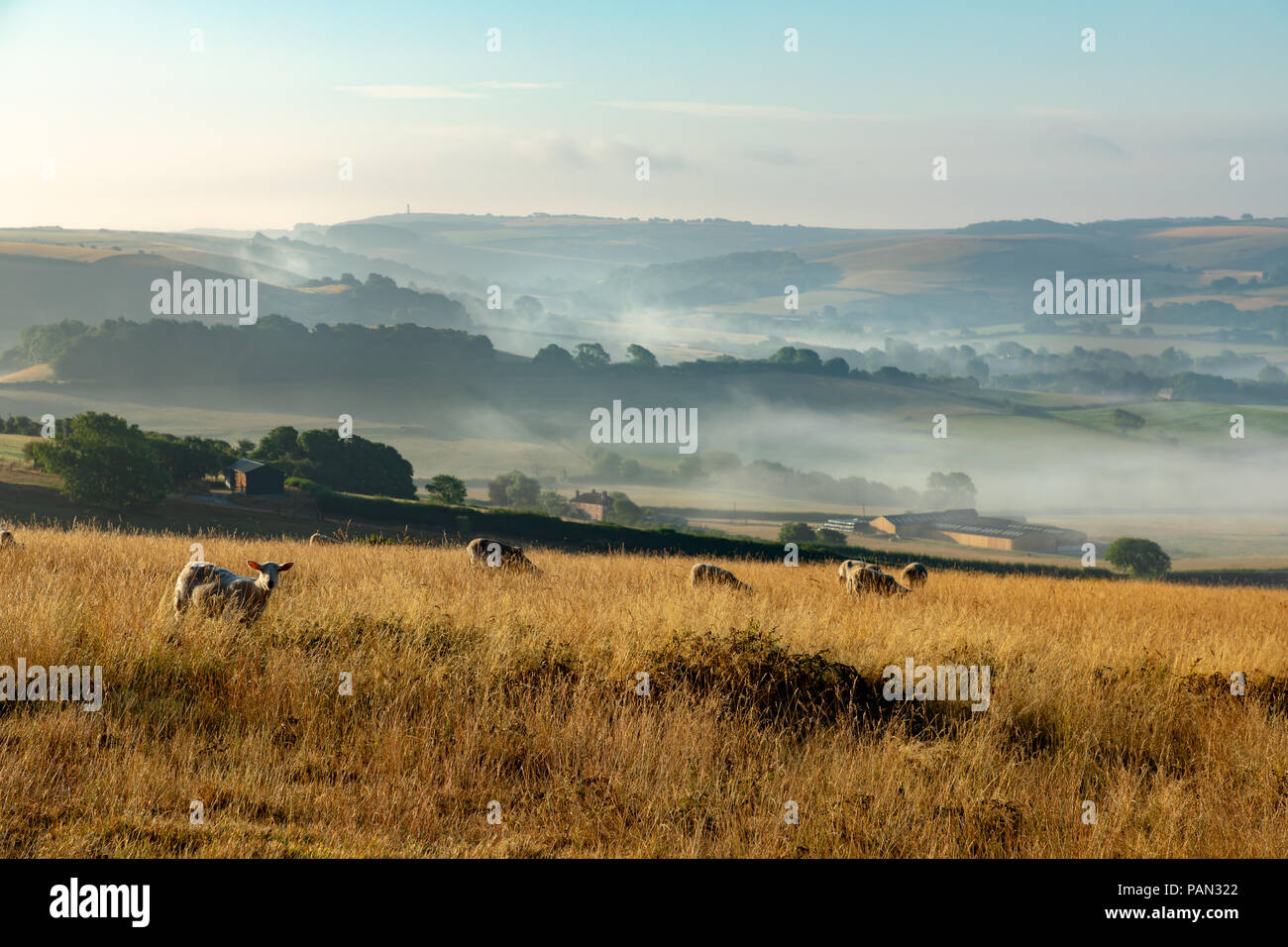 Litton Cheney Dorset England Juli 24, 2018 Am frühen Morgen Nebel im Tal füllt rund um das Dorf von Litton Cheney Stockfoto