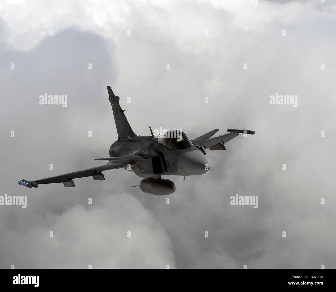 Ein JAS-39 Gripen Pilot aus Čáslav Air Base, Tschechische Republik, führt Luft-zu-Luft-Bohrer 25. Juni während Sky Avenger 2018. (Air National Guard Foto von Tech. Sgt. Mindy Bloem) Stockfoto