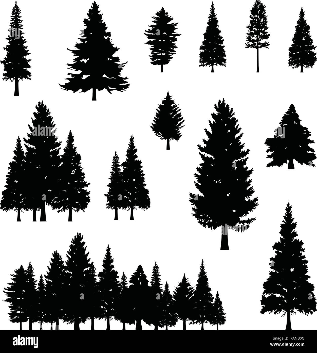 Nadelholz Kiefer Tanne Nadelbaumbaum Wald Silhouette Abbildung Stock Vektor