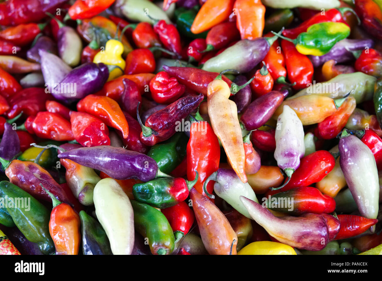 Frische Chilis zum Verkauf auf einem Markt in Peru Stockfoto