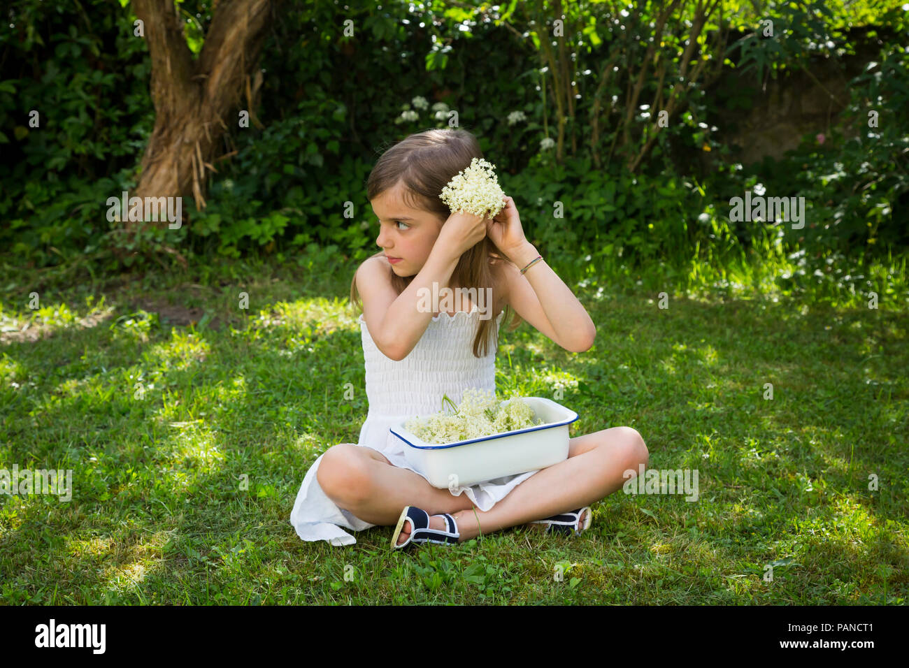 Kleines Mädchen sitzen auf der Wiese im Garten mit Schüssel von Ausgewählt elderflowers Stockfoto